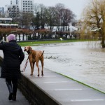 Hochwasser_007