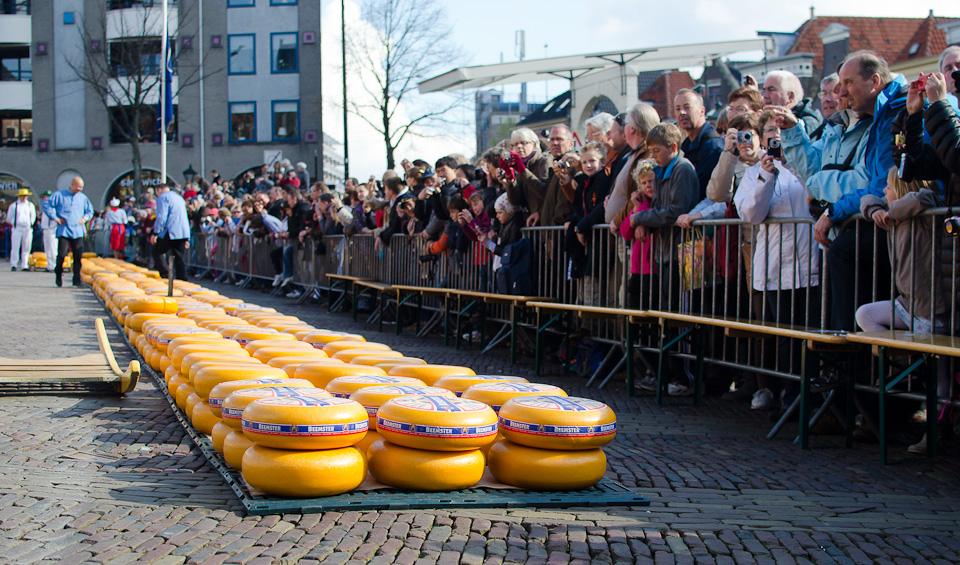 Der Käsemarkt in Alkmaar