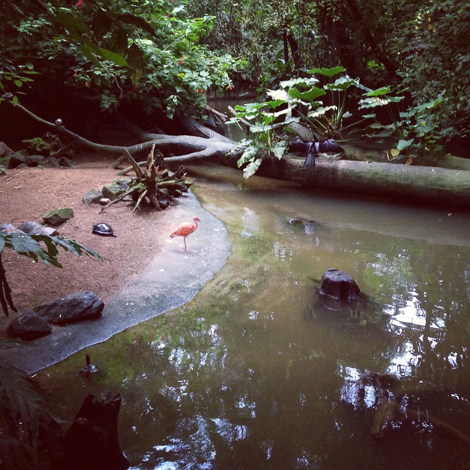 unterwegs in Burgers Zoo in Nordholland