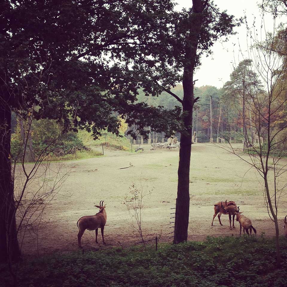 Burgers Zoo in Nordholland