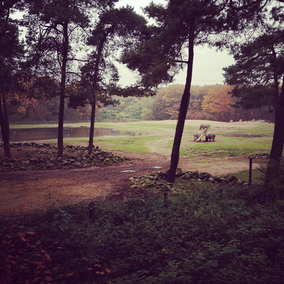 Burgers Zoo 