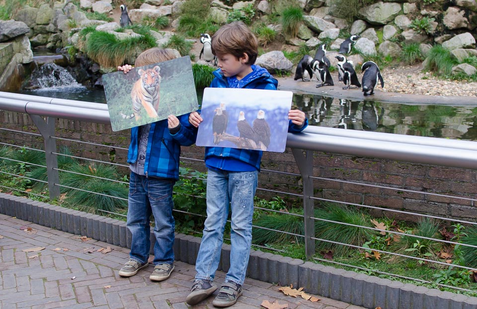 Souvenirshop Erinnerungen an Burgers Zoo