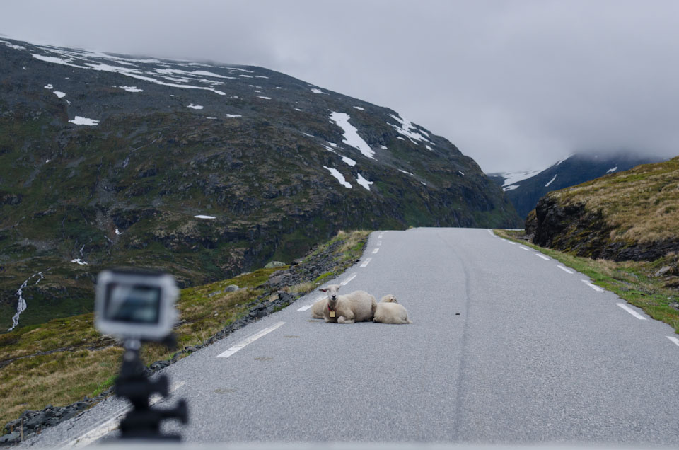 Aurlandsvegen Norwegen