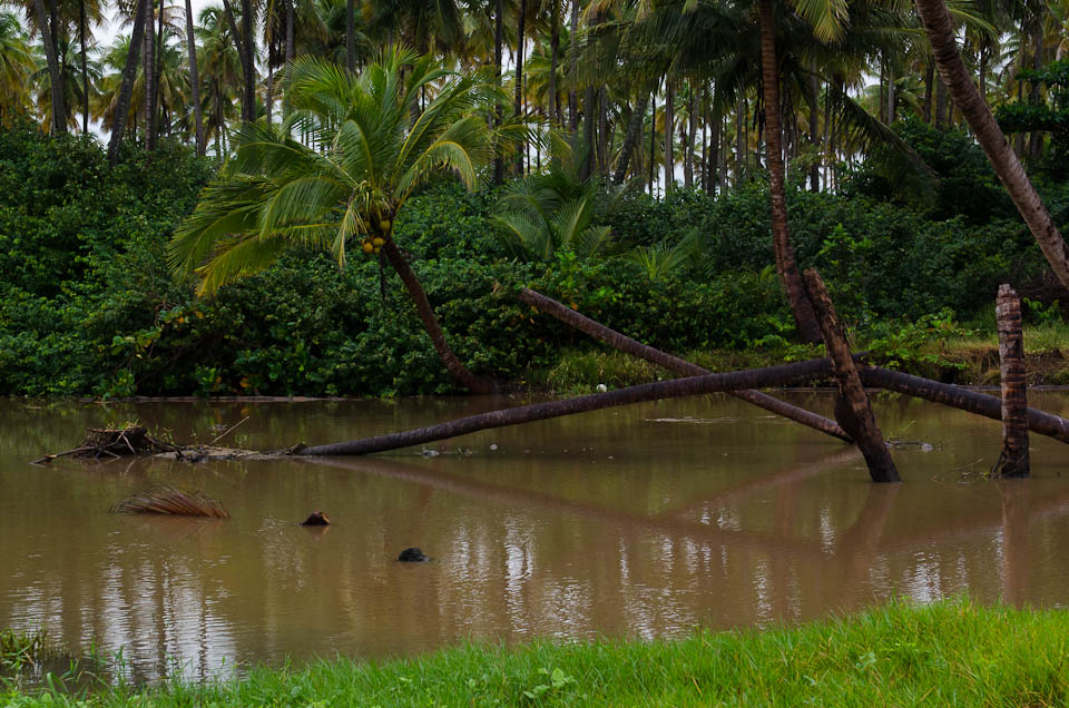 Lost Places Puerto Rico - die Strände von Yabucoa