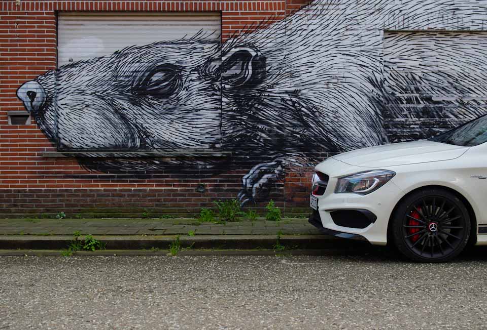 ROA in Doel