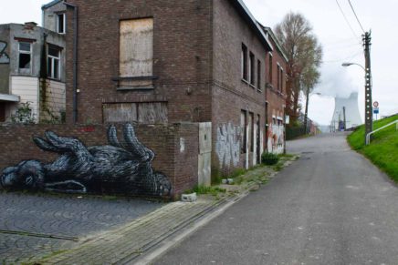 Das Streetart Geisterdorf in Belgien – Wie ROA und andere Künstler Doel in ein Kunstwerk verwandelten