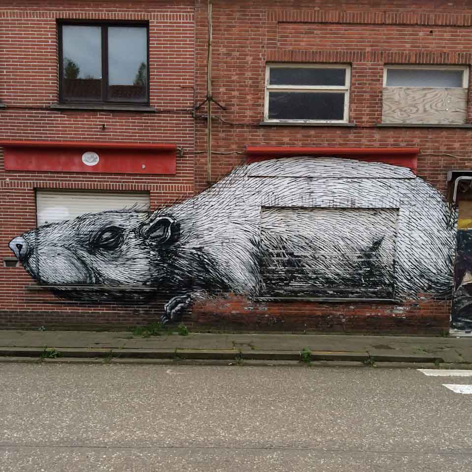 roa_doel_koelnformat_004