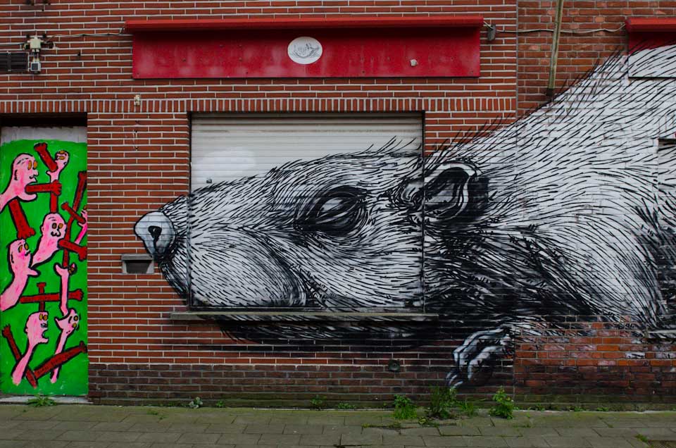 roa_doel_koelnformat_005