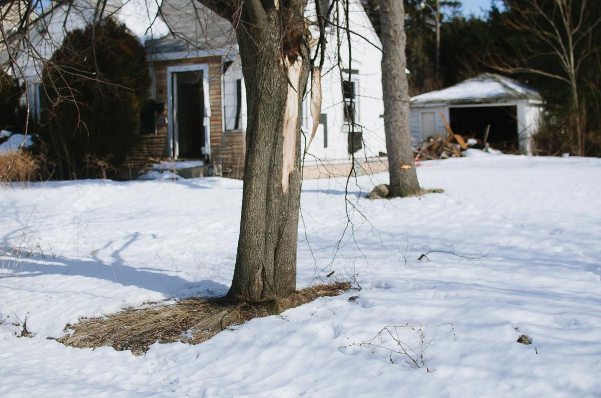 Eminems Elternhaus in Detroit Suche