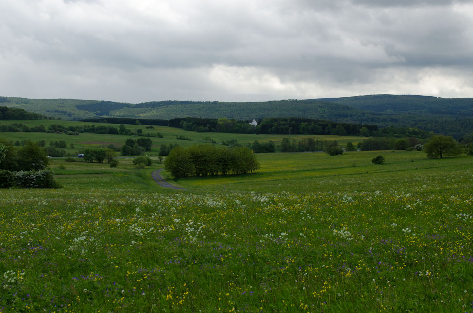 Naturschutzgebiet an der Hochrhönstraße