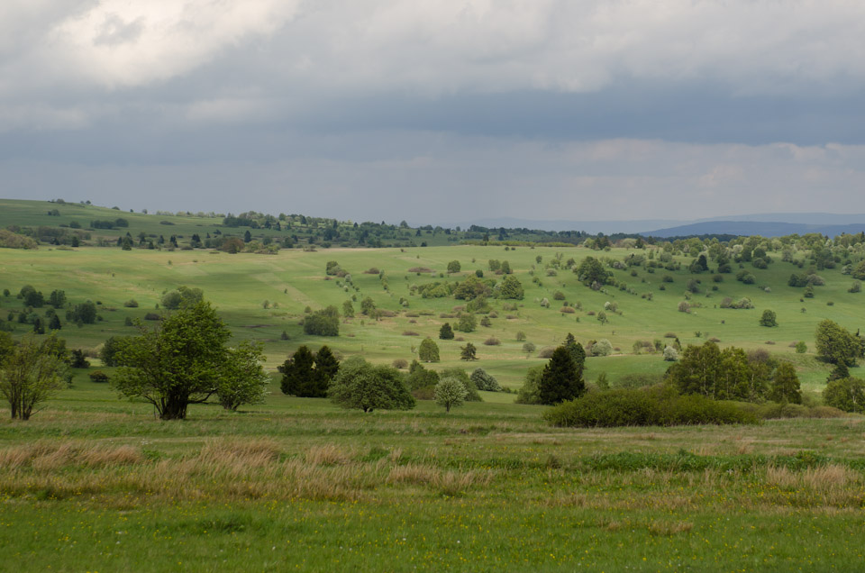 Naturschutzgebiet Hochrhönstraße