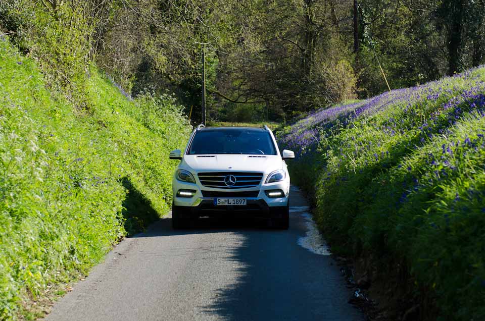 schmale Straßen in Südengland, besser nicht liegenbleiben