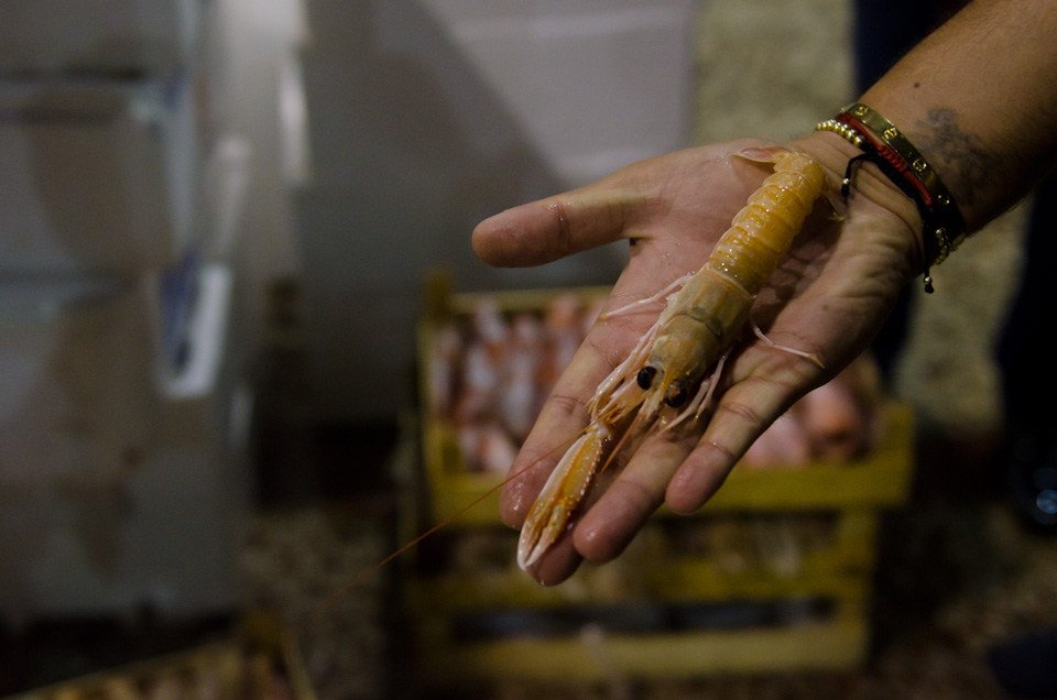 Istanbul_Fishmarket_002