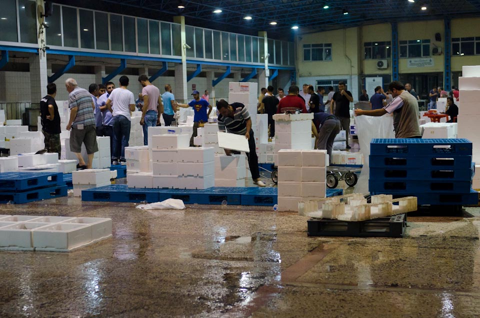 Istanbul_Fishmarket_009