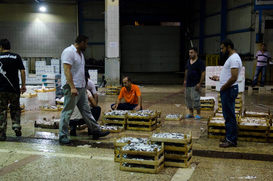 Fischmarkt in Istanbul