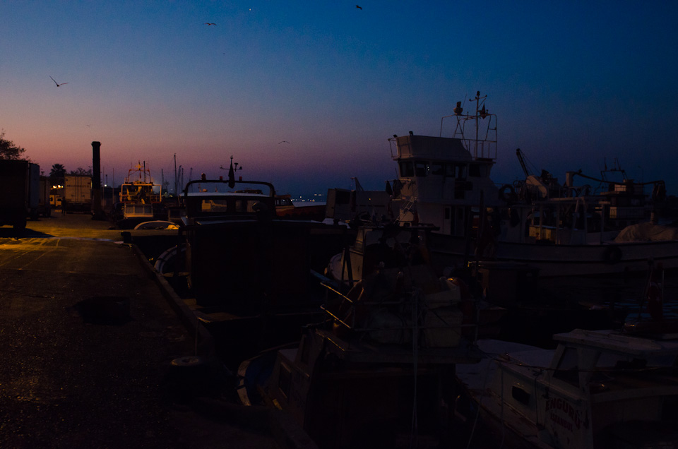 Istanbul_Fishmarket_016