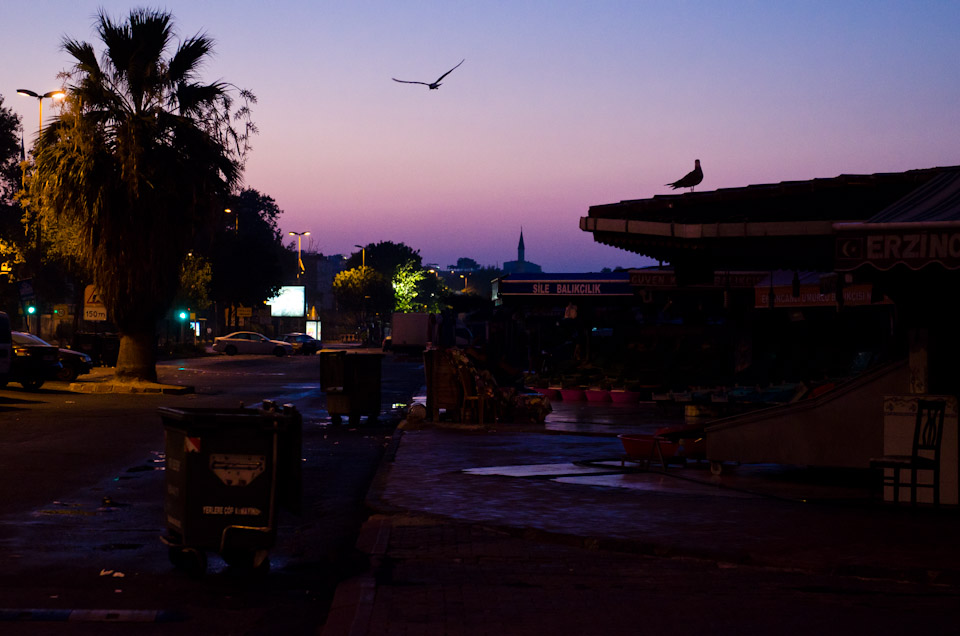 Istanbul_Fishmarket_018