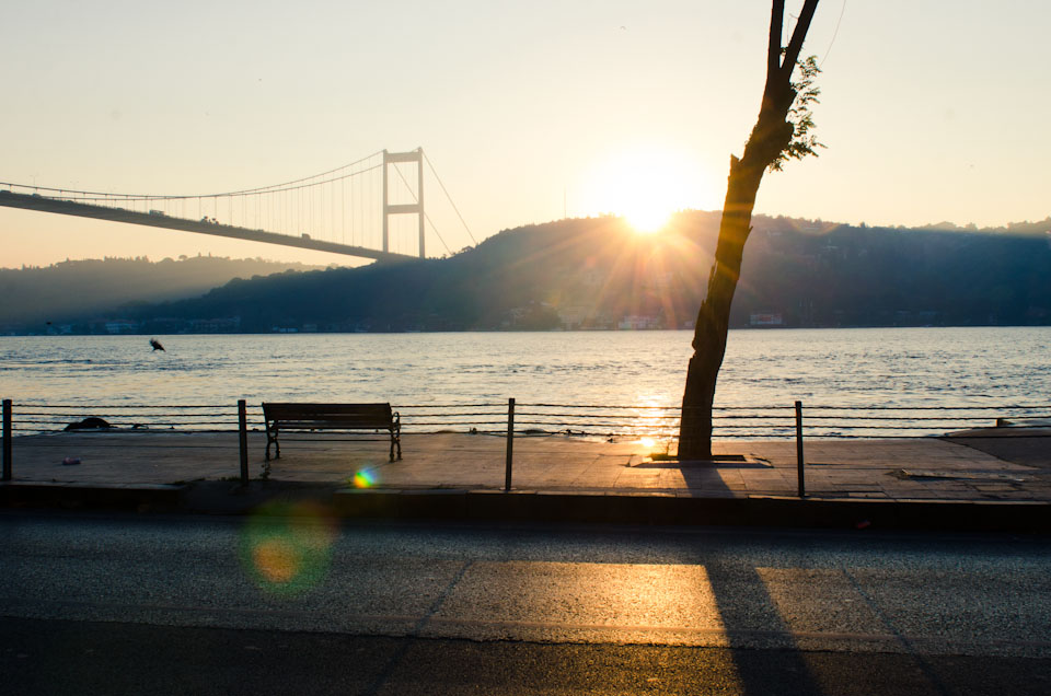 Istanbul_Fishmarket_024