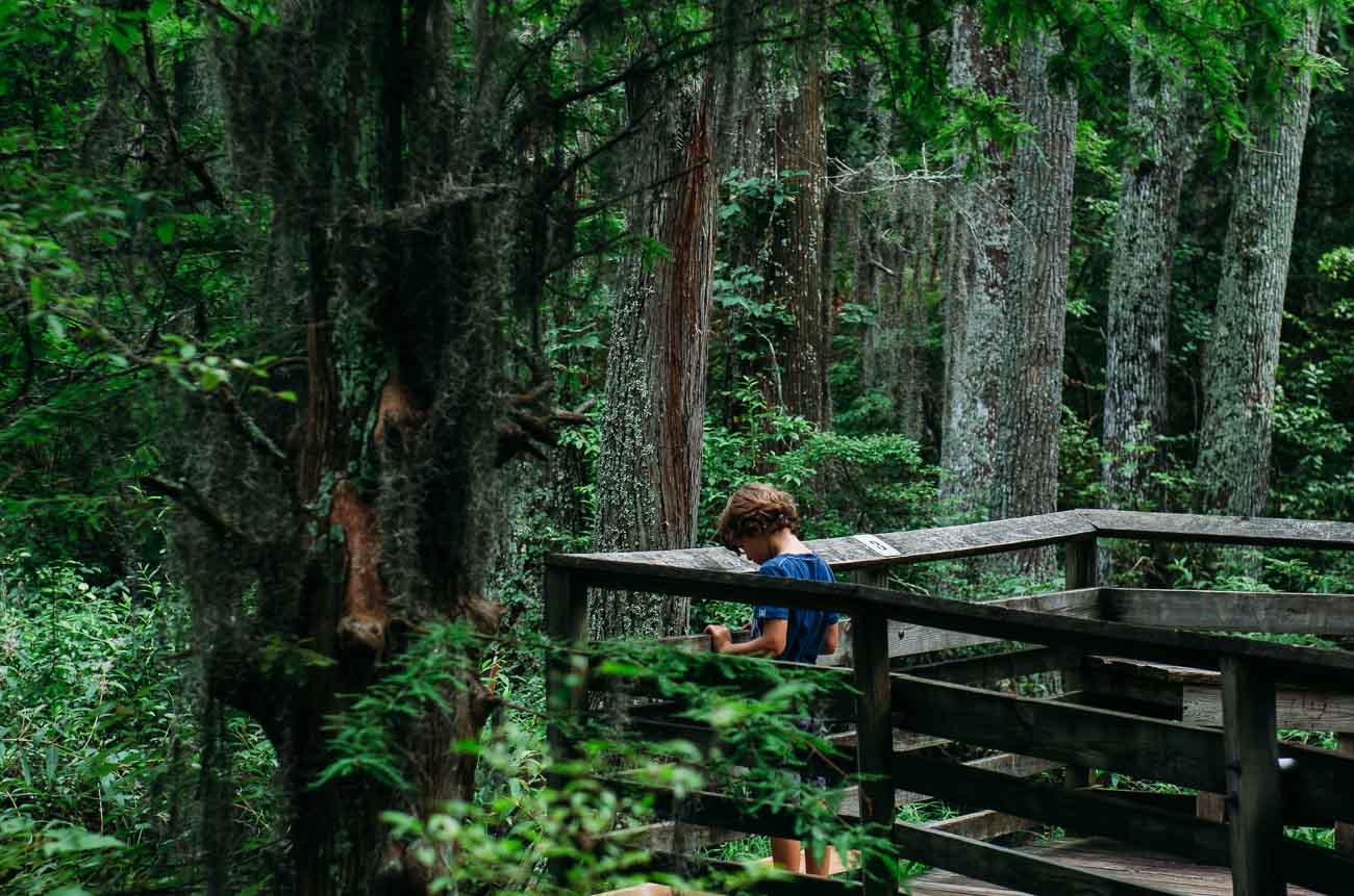 Der First Landing State Park