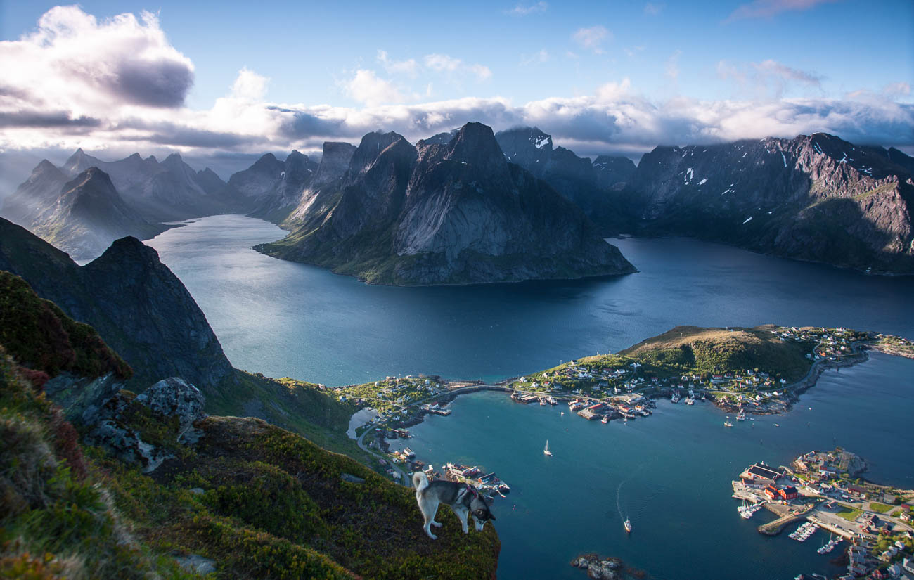 Lofoten Panorama Norwegen mit Husky © Nico Walz