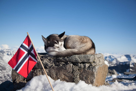 53 Tage Nudeln – Low Budget Norwegen Urlaub mit Hund