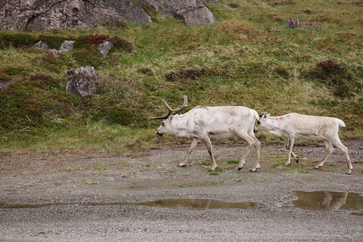 Roadtrip_Norwegen_Hammerfest-23