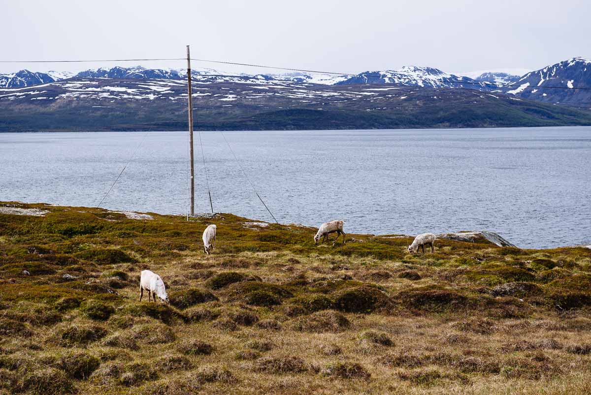 Roadtrip_Norwegen_Hammerfest-3