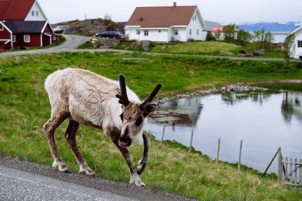 Roadtrip_Norwegen_Hammerfest-4