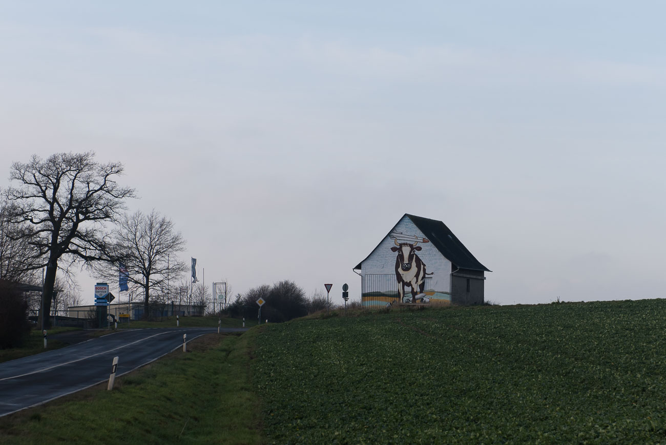 Der Weg zur Geierlay Bruecke