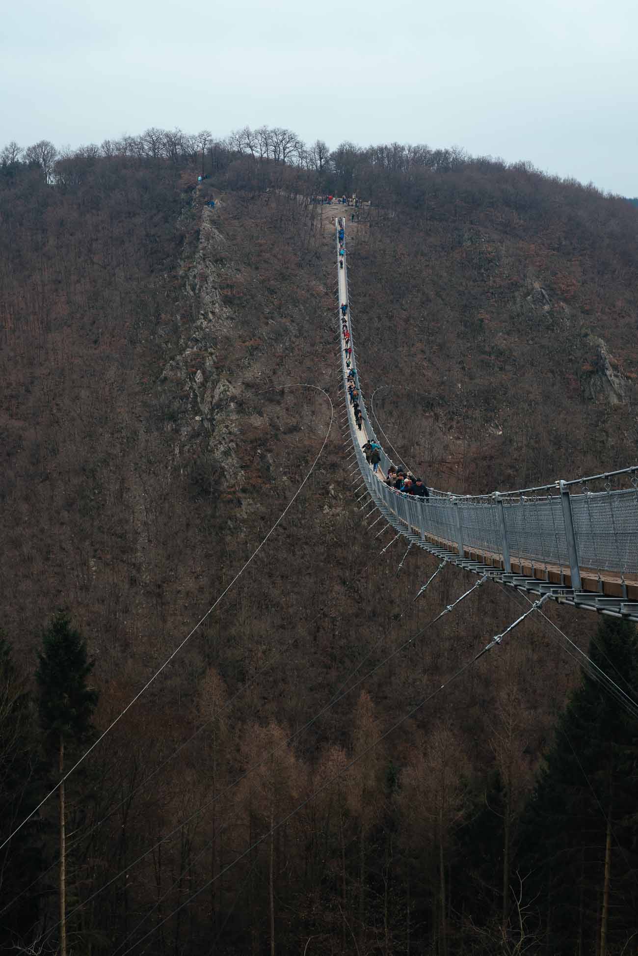 100 Meter sind halt verdammt hoch - die Geierlay Brücke